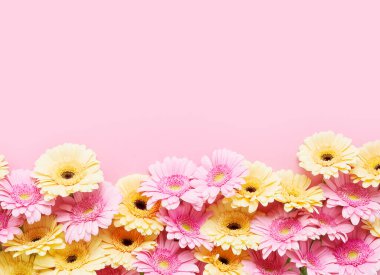 Pembe arka planda pembe ve sarı gerberaların sınırı. Anneler Günü, Sevgililer Günü, doğum günü konsepti