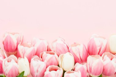 Pembe arka planda bir sürü pembe lale. Anneler Günü, Sevgililer Günü, doğum günü kutlaması konsepti.