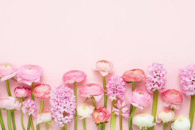 Pembe ranunculus ve pembe arka planda sümbüller. Anneler Günü, Sevgililer Günü, doğum günü konsepti