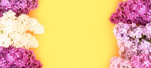 Lilac flowers on a yellow background. Spring concept. Banner — Photo