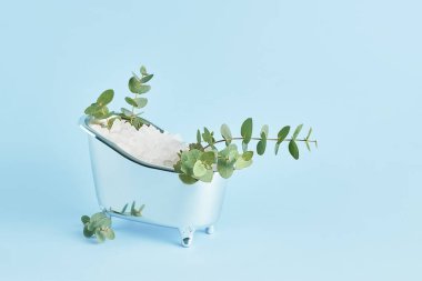 White bath salt and twigs of fresh eucalyptus in a small bathtub on a blue background. SPA, body care concept. Copy space for text