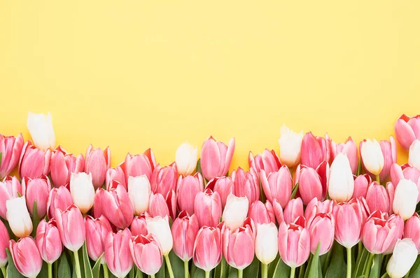 Pink tulips on a yellow background. Mothers Day, Valentines Day, birthday celebration concept — Stock Fotó