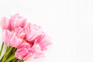 Beyaz arka planda pembe laleler. Anneler günü, sevgililer günü, doğum günü kutlaması konsepti. Tebrik kartı. Metin için boşluk kopyala, üst görünüm
