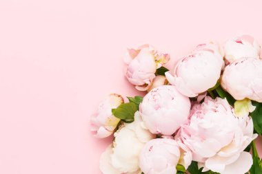 Pembe arka planda pembe şakayıklar. Doğum günü, Sevgililer Günü, Anneler Günü ya da Kadınlar Günü konsepti. Üst görünüm, kopyalama alanı, yumuşak odak