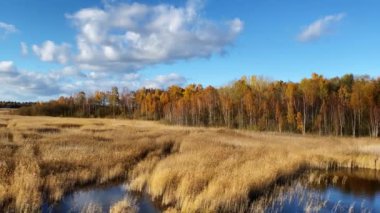 Güz Gölü Kanieris Vadisi manzarası. Letonya 'nın batısındaki Kemeri Ulusal Parkı' nda yer almaktadır. Avrupa