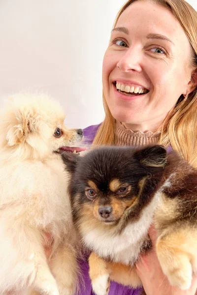 Eine Frau Mit Zwei Pommern Auf Den Händen Großaufnahme — Stockfoto