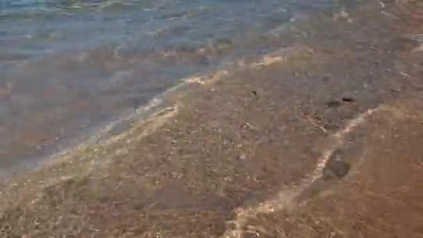 Malá Vlna Písečné Pláži Zblízka — Stock video