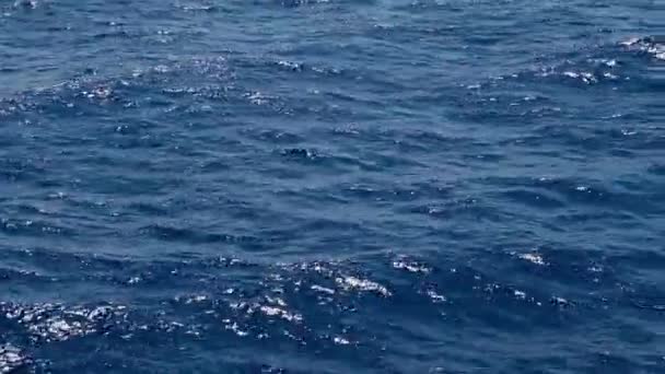 Ytan Vågorna Det Blå Vattnet Havet Havet Vacker Bakgrund Med — Stockvideo