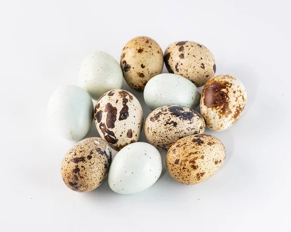 Группа цветных перепелиных яиц на белом фоне — стоковое фото