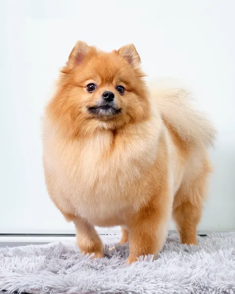 Spitz bir ışık duvarına yakın çekim, dikey fotoğraf.