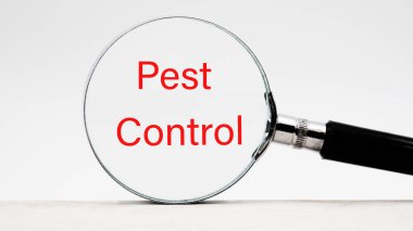 Bir büyüteçle PEST Kontrol ile ilgili bir mesaj.