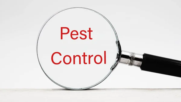Повідомлення Про Pest Control Через Збільшувальне Скло Ліцензійні Стокові Зображення