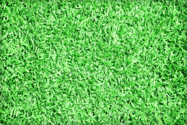 Güzel yeşil çimen dokusu