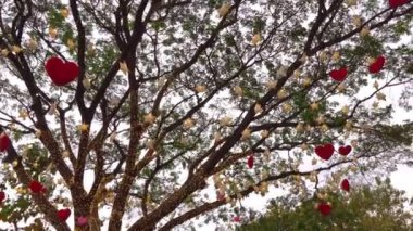 Ağaçta asılı kırmızı kalpler kağıt yıldızlar ve gece parıldayan ışıklar. Sevgililer Günü konsepti