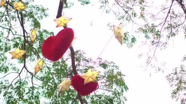 Červená Srdce Visící Stromě Mnoha Papírovými Hvězdami Světly Blikajícími Noci — Stock video
