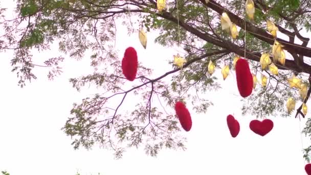 Κόκκινες Καρδιές Κρεμασμένες Ένα Δέντρο Πολλούς Χάρτινους Αστέρες Και Φώτα — Αρχείο Βίντεο