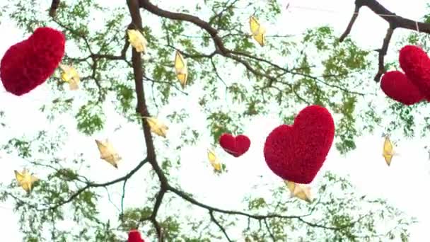 Röda Hjärtan Hänger Ett Träd Med Många Pappersstjärnor Och Ljus — Stockvideo