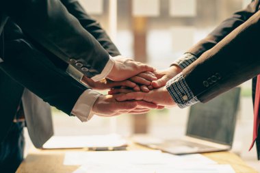 Successful colleagues put their naughty hands with fists together in the financial business idea office.