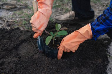 Man is planting trees and to help increase oxygen in the air and reduce global warming, save the world, save lives and plant tree ideas.