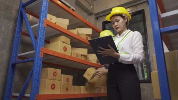 Male Female Warehouse Workers Prepare Goods Transportation Ready Stock Check — Video