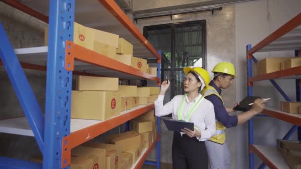 Male Female Warehouse Workers Prepare Goods Transportation Ready Stock Check — Vídeo de stock