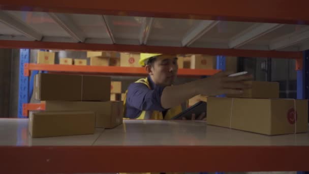 Handsome Asian Employee Works Warehouse Workers Wearing High Visibility Clothes — Stock video
