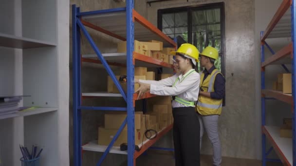 Mujer Asiática Con Casco Chaleco Reflectante Inspecciona Productos Materiales Estantes — Vídeos de Stock
