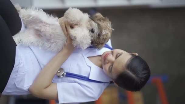 Doutor Brinca Com Cão Chisu Conceito Droga Animal Estimação Pandemia — Vídeo de Stock