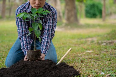 Genç Asyalı bir adam yere bir ağaç dikiyor ve mutlu bir şekilde gülümsüyor. Dünya çevre günü ve yeşil konsept Asyalı el yeşil bahçe arka planında kara toprağa küçük bitkiler ekiyor