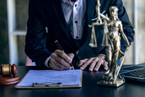 Judge Hammer Scales Justice Law Tigers Lawyer Concept Protecting Clients — Stock Photo, Image