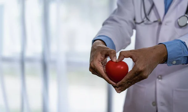 doctor holding heart in hand concept of cardiovascular disease Hospital Life Insurance Concept: World Heart Health Day Concept