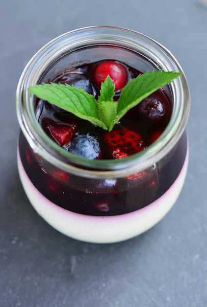 Panna Cotta Red Currant Sorbet Stock Image