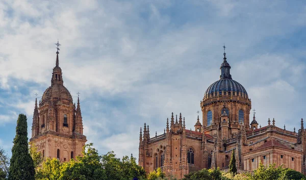Cúpula Catedral Salamanca Spai — Foto de Stock