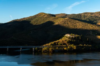 Sonbahar çekirdekleriyle dolu Douro Vadisi 'nin üzüm bağlarının manzarası - Portekiz - altın saat