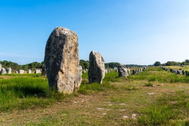 Carnac in Franc 'tan Megalitik hizalamalar