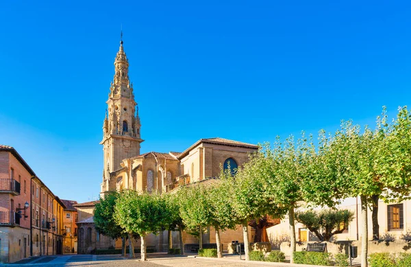 Vista Catedral Santo Domingo Calzada Rioja España — Foto de Stock