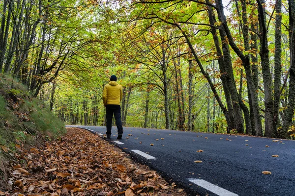 Muž Oblečený Žluté Praxe Trekking Přes Kaštanový Les Podzim Selektivní — Stock fotografie