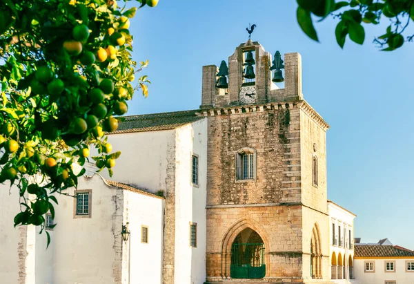 Faro, Algarve, Portekiz 'deki katedral kulesinin manzarası portakal yapraklarıyla çerçevelenmiş.