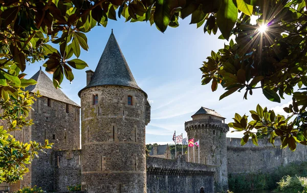 Uitzicht Het Fort Van Fougeres Frankrijk Omlijst Met Boombladeren — Stockfoto