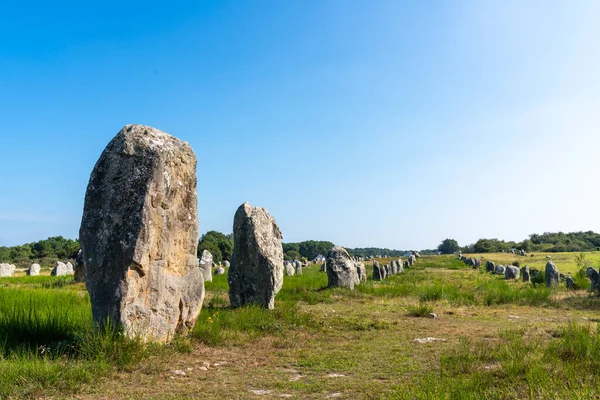 Carnac in Franc 'tan Megalitik hizalamalar