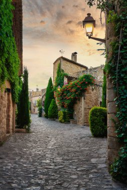 Girona, Katalonya, İspanya 'da Peratallada' nın ortaçağ köyünde çiçekli bir sokak manzarası