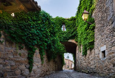 Girona, Katalonya, İspanya 'da Peratallada' nın ortaçağ köyünde çiçekli bir sokak manzarası