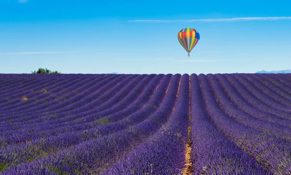 Balão Voando Sobre Campos Lavanda Valensole Franc — Fotografia de Stock