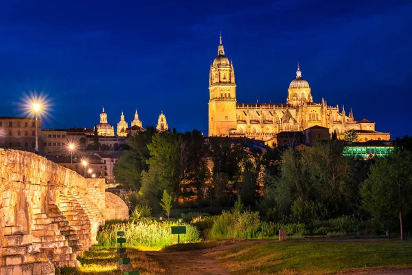 Vista Del Puente Romano Catedral Salamanca España — Foto de Stock