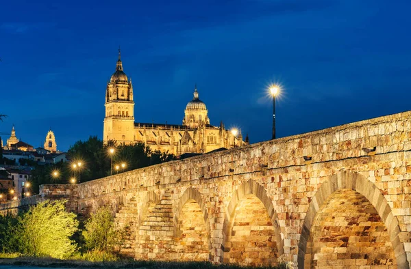 Vista Del Puente Romano Catedral Salamanca España — Foto de Stock
