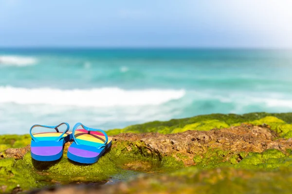 Tongs Colorées Sur Les Algues Vertes Des Plages Rocheuses Cantabrie — Photo