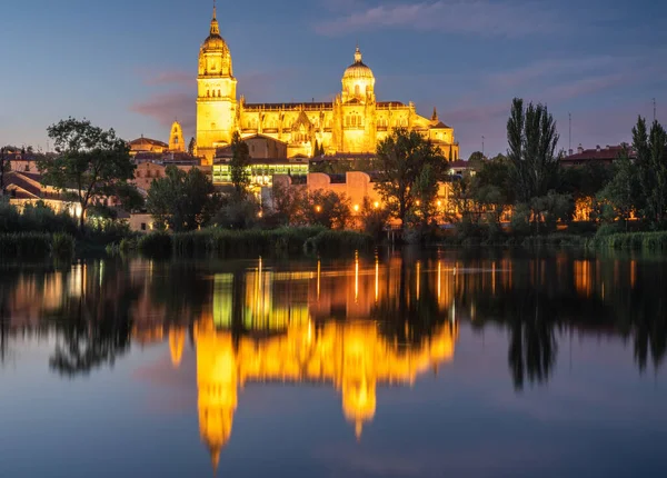 Vista Catedral Salamanca España Reflejada Los Tormes Del Río — Foto de Stock