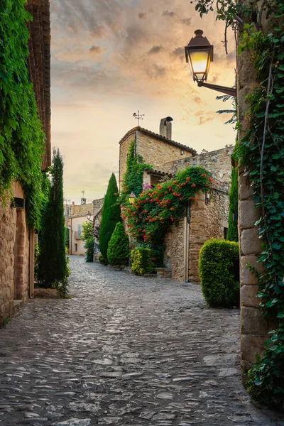 Zicht Een Bloeiende Straat Het Middeleeuwse Dorp Peratallada Girona Catalonië — Stockfoto