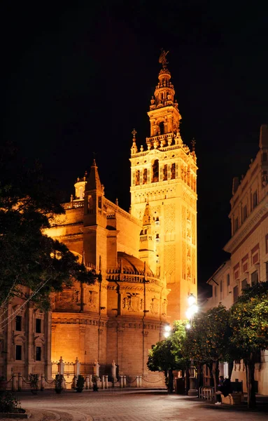 Vista Nocturna Catedral Sevilla España — Foto de Stock