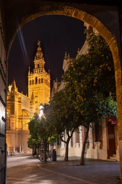 Vue Nocturne Cathédrale Sevilla Espagne — Photo